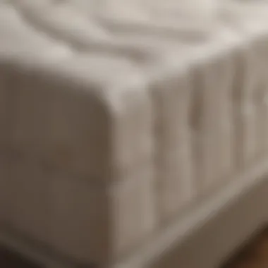Materials Behind Box Mattress Comfort An array of materials used in box mattresses, highlighting their quality