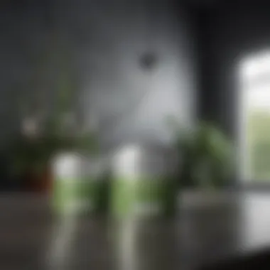 Sustainable paint options displayed in a showroom