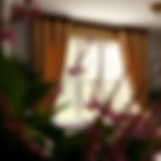 Elegant drapes enhancing a bow window