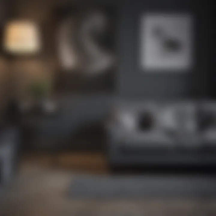 Maintenance tips for dark gray painted surfaces