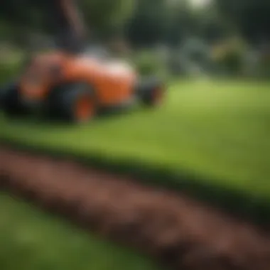 Gardener applying maintenance practices to a lush lawn