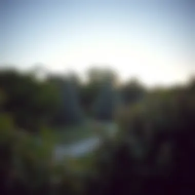 Diverse Privacy Trees Landscape Landscape showcasing various fast-growing privacy trees