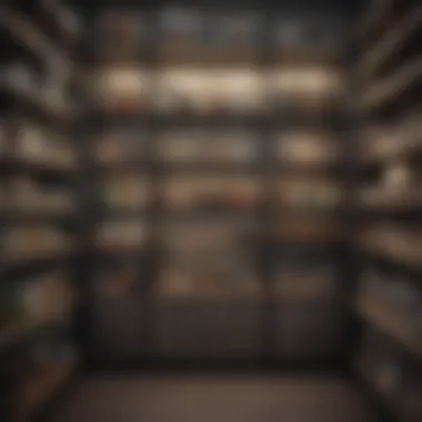 Maximizing Storage Efficiency with Stylish Organization Detailed view of organized shelving compartments with decorative items
