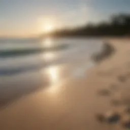 Serene beach view along the Georgia coast