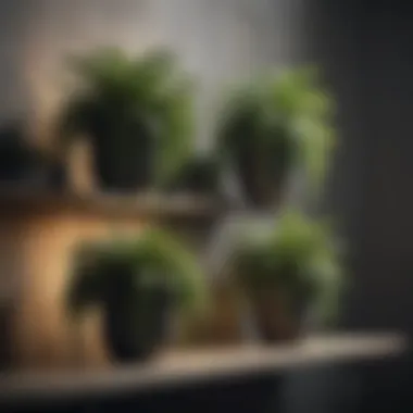 Artistic Cascading Plant Display An artistic display of cascading plants on a bookshelf