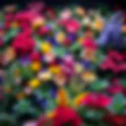 A vibrant live flower wall showcasing a variety of blooming plants