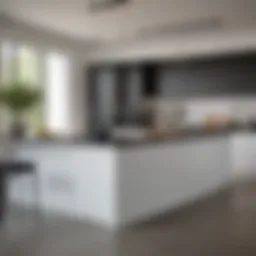 A sleek modern kitchen featuring a blend of black and white countertops