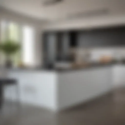 A sleek modern kitchen featuring a blend of black and white countertops