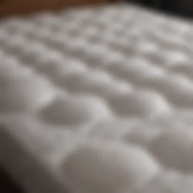 Comparison of Puffy Mattress Topper with competitor products