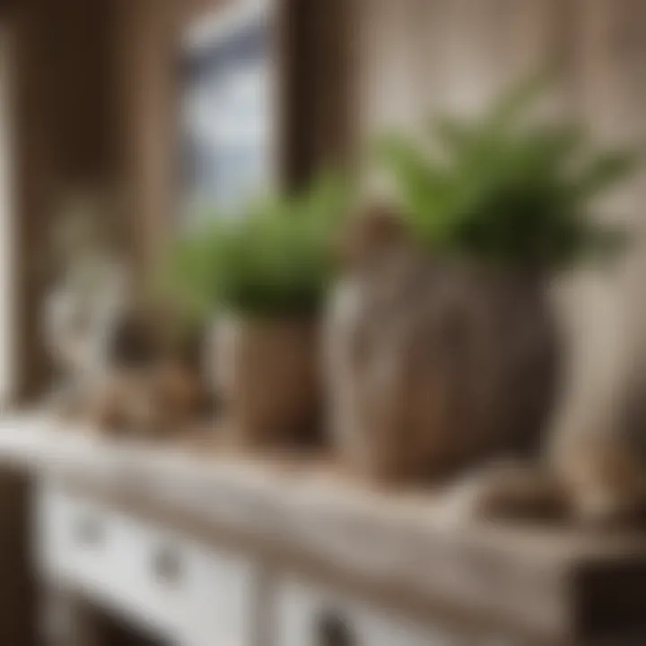 Natural decor accents like driftwood and seashells in cottage design