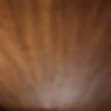 Close-up of natural wood grain on a ceiling