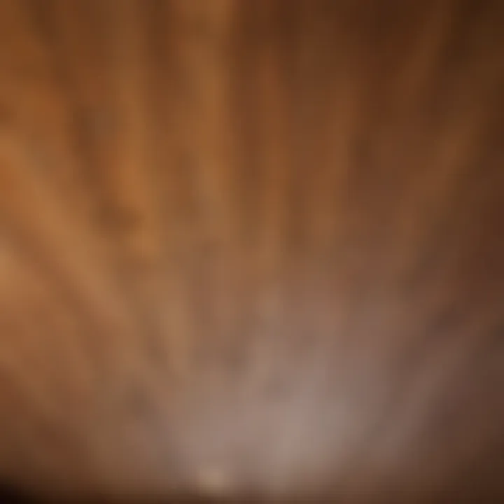 Close-up of natural wood grain on a ceiling