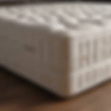 An array of mattress types arranged to highlight their distinct characteristics.