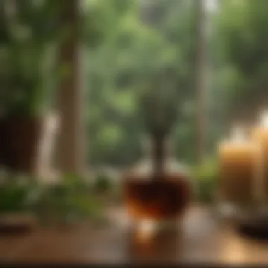 Sandalwood reed diffuser on a wooden table surrounded by greenery and candles