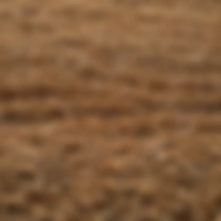 Close-up of straw materials being utilized for roofing purposes