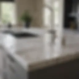Elegant marble worktop enhancing a modern kitchen