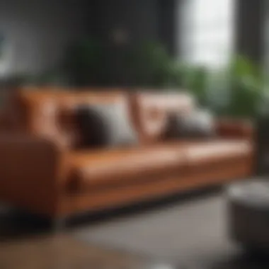 Variety in Sleeper Couch Design Diverse styles of sleeper couches for office environments