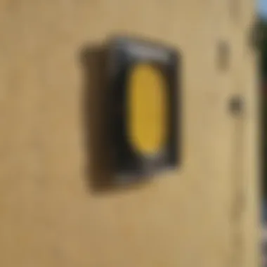 Residential Application of Wasp Repellent Paint Residential setting showcasing wasp repellent paint applied on exterior walls
