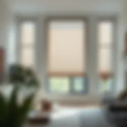 Elegant roller shades providing privacy and light control in a modern living room