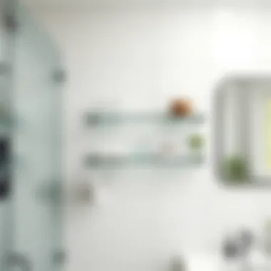 Contemporary Glass Shelves Contemporary glass shelves framed by modern bathroom tiles