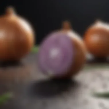 Comparison of fertilization techniques for onions