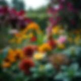 A lush garden showcasing diverse plant selections and vibrant colors.