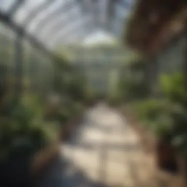Key Criteria for Selecting the Perfect Greenhouse Site Site selection criteria for greenhouse installation