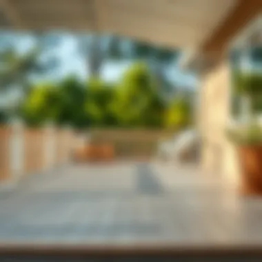 Freshly painted deck showcasing a flawless finish