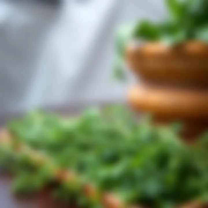Freshly Harvested Dill for Culinary Delights Harvested dill ready for use