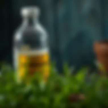 Understanding Acetic Acid: The Active Ingredient in Vinegar Chemical structure of acetic acid