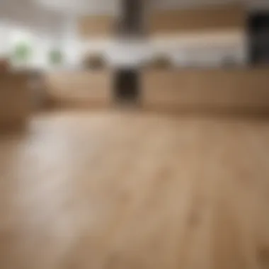 Bright kitchen featuring a light oak wood floor color