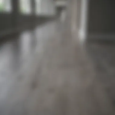 Contemporary hallway displaying a sleek gray wood floor color