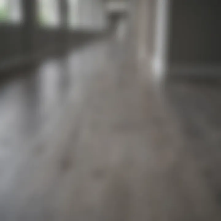 Contemporary hallway displaying a sleek gray wood floor color