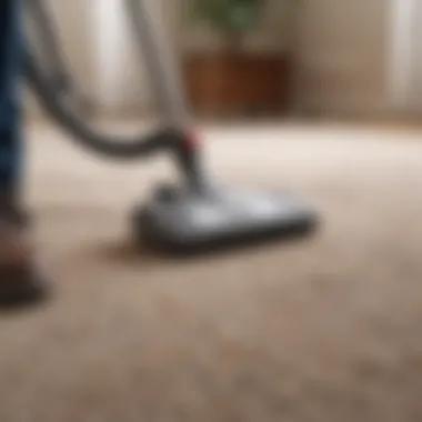 Vacuuming carpets to remove dust mites