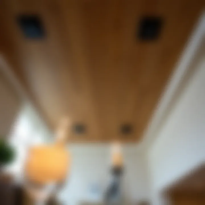 A guide to different types of ceiling styles suitable for basements