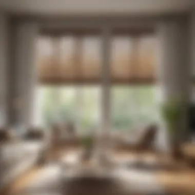 Well-maintained blinds in a bright living room