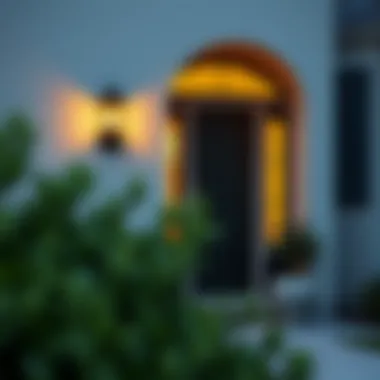 Style Meets Architecture Stylish door light fixture complementing home architecture