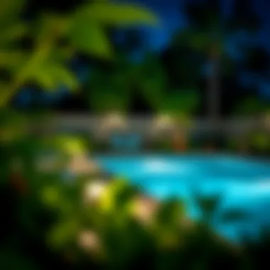 Energy-Efficient Low Voltage Lighting for Safety Energy-efficient low voltage lights enhancing safety on a pool deck