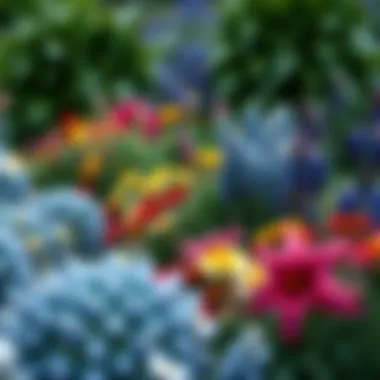 Charming mix of perennials creating a cohesive border