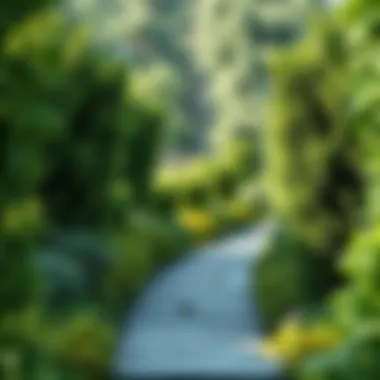 Elegant stone pathway framed by lush greenery