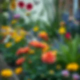 Vibrant flower border with diverse plant species