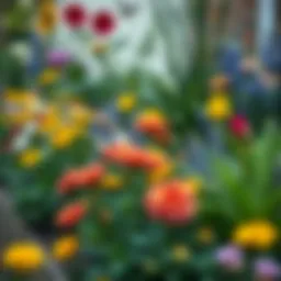 Vibrant flower border with diverse plant species