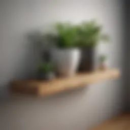 Modern floating shelf arrangement with plants and decor