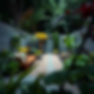 Tranquil Backyard Retreat with Diverse Plantings A tranquil backyard retreat with diverse plantings