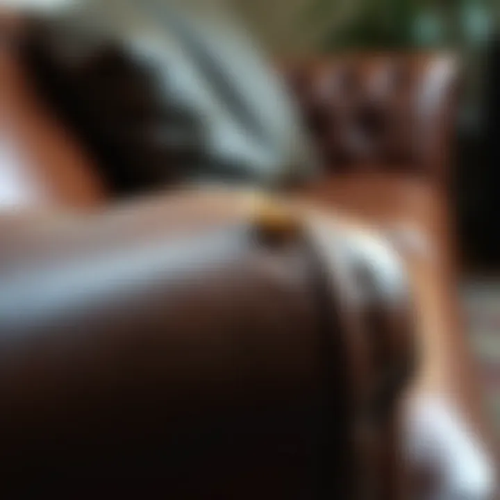 Understanding Damage on Leather Sofa A close-up of a leather sofa showcasing wear and tear