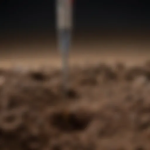 Close-up of a Lowes soil probe in action, showcasing its sharp tip and sturdy design.