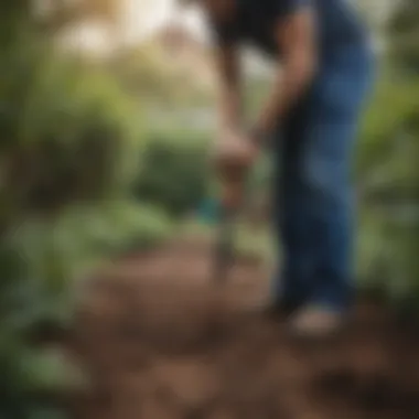 A gardener using a Lowes soil probe to test soil moisture levels in a lush garden.