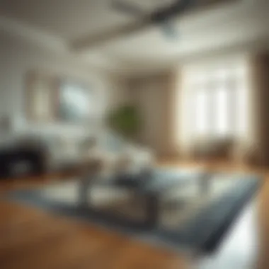 Protective Measures for Rugs and Floors Preventive measures to protect rugs and hardwood floors