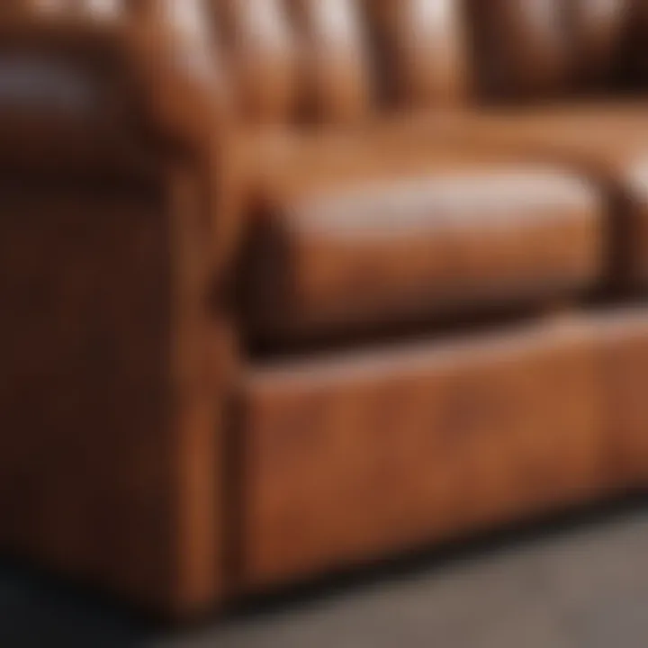 Application of natural conditioner on leather