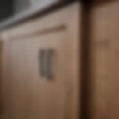 Close-up of high-quality materials used for cupboard doors